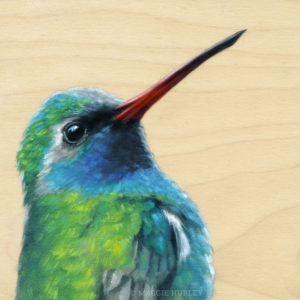 Broad-billed hummingbird painting by maggie hurley