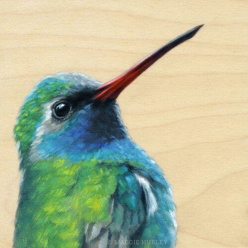 Broad-billed hummingbird painting by maggie hurley