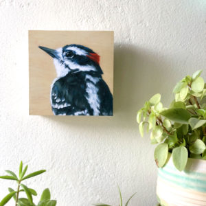 downey woodpecker bird art
