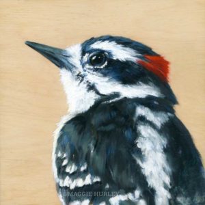 Downey woodpecker