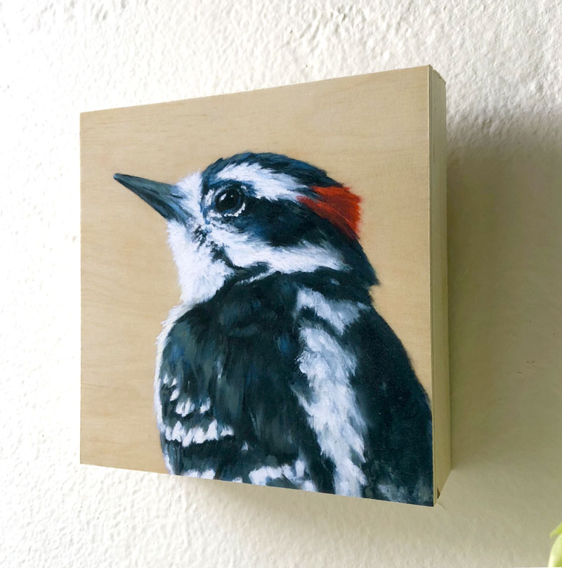 downey woodpecker art profile view