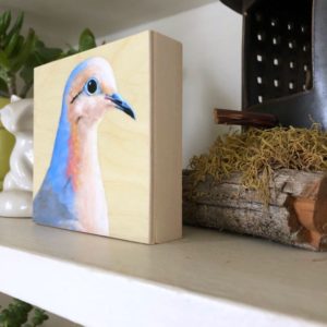 Mourning dove bird art