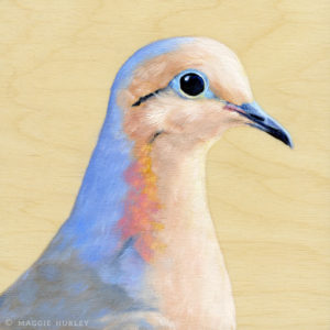 Mourning Dove Bird Art