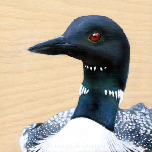 Common Loon Bird Painting