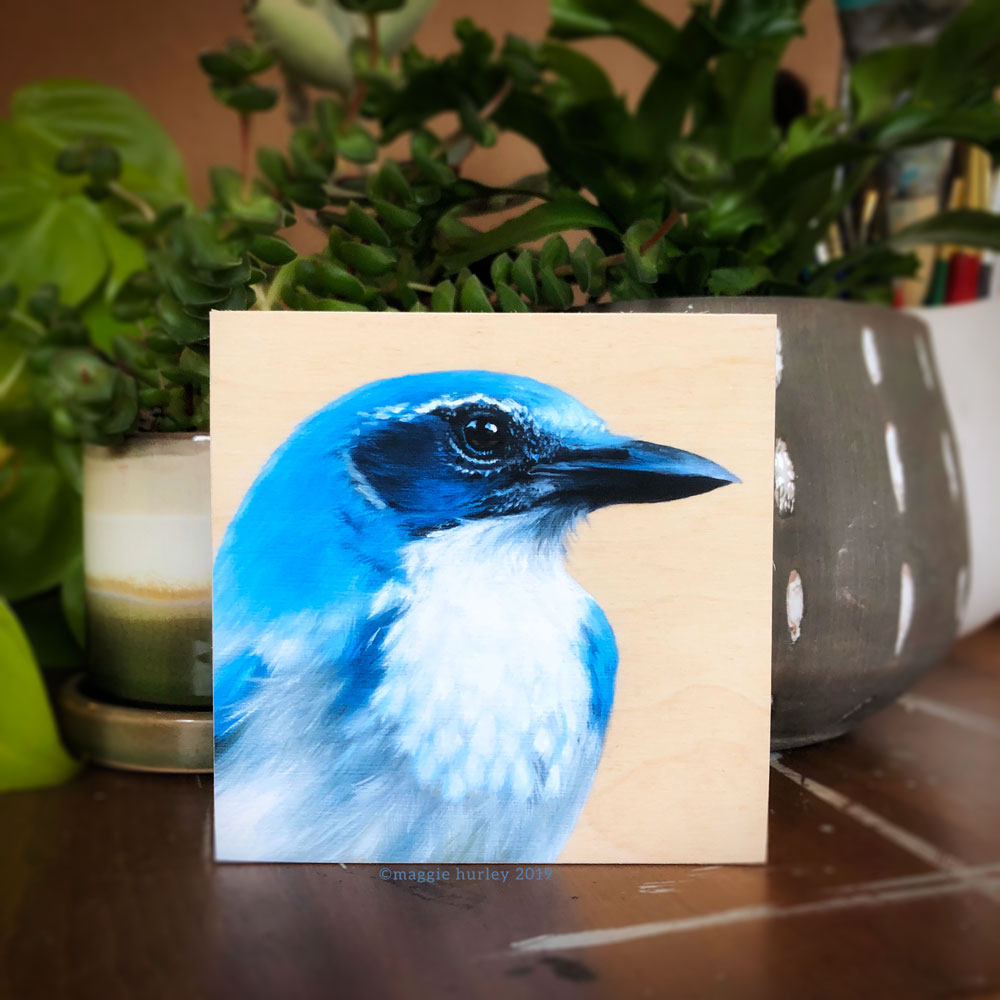 California Scrub-jay - Bird Art Print on Wood - Image 2