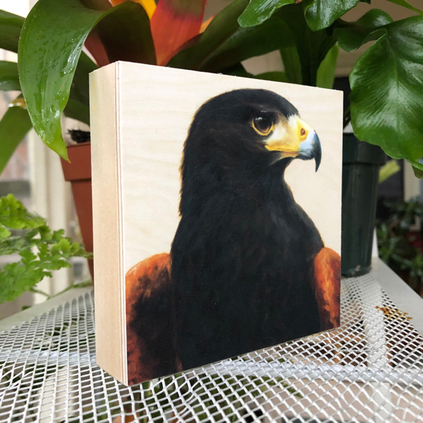 Harris's Hawk - Bird Art Print on Wood - Image 3