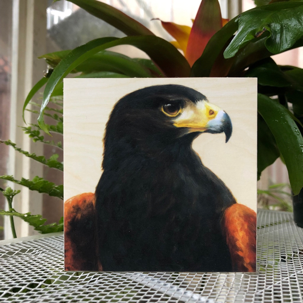 Harris's Hawk - Bird Art Print on Wood - Image 2