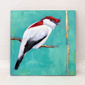 Araripe Manakin painting
