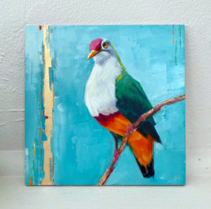 Beautiful fruit dove