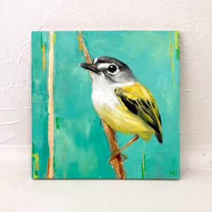 black-capped pygmy tyrant painting