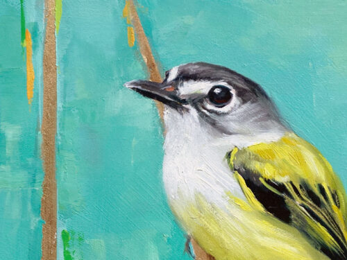 Pygmy-tyrant-bird-painting-close-up