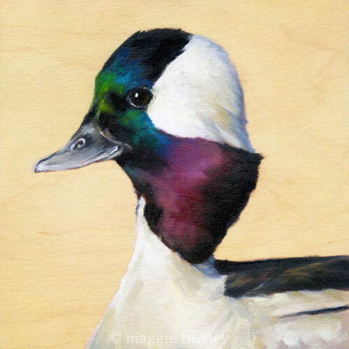 Original Bird and Animal Art