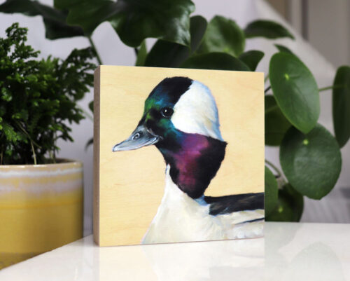 bufflehead bird art by maggie hurley