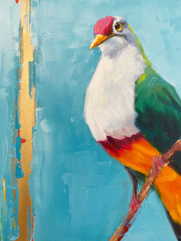 Close up of beautiful fruit dove