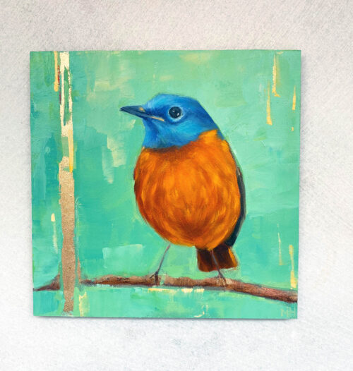 Amber-mountain-rock-thrush-maggie-hurley