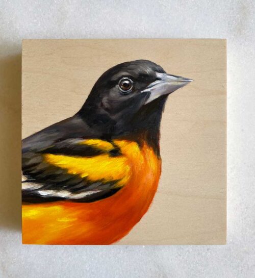Baltimore oriole oil painting