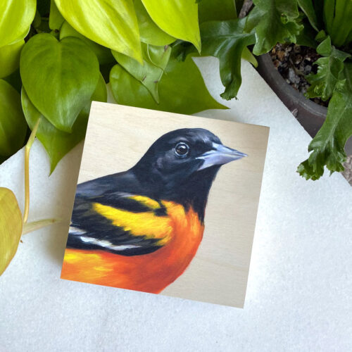 Baltimore Oriole Bird Art Print on Wood