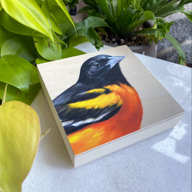 Baltimore Oriole Bird Art Print on Wood