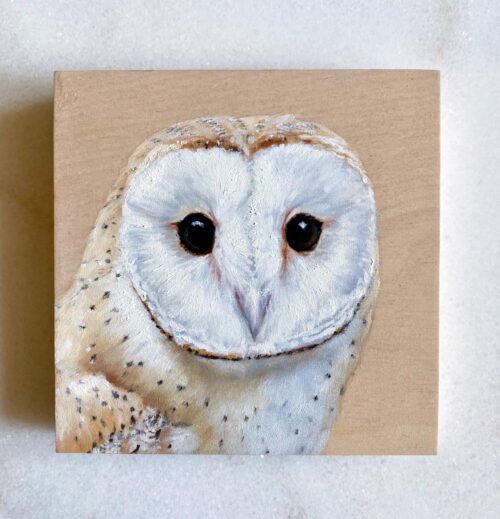 Barn owl oil painting on wood panel