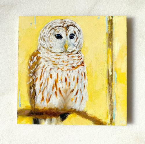 Barred Owl bird art by Maggie Hurley