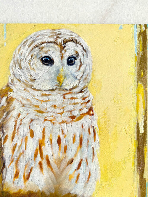Close up bird art Barred Owl painting