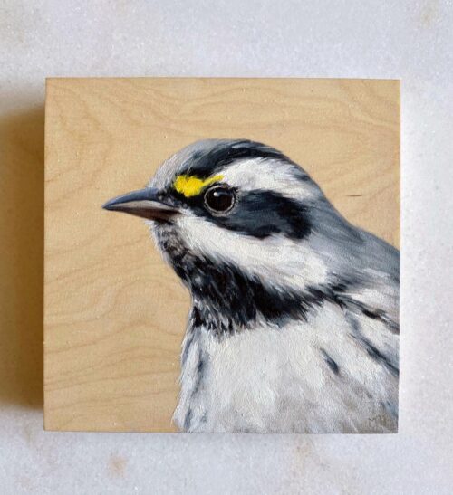 Black throated Gray Warbler oil painting