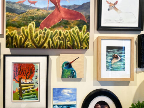 Broad-Billed-hummingbird-on-wall broad billed hummingbird on wall