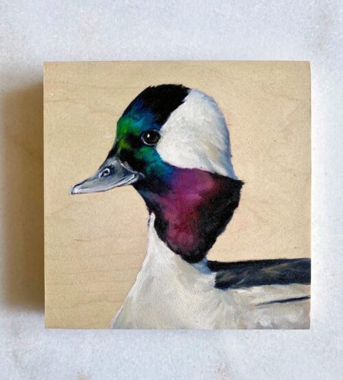 oil painting of a bufflehead
