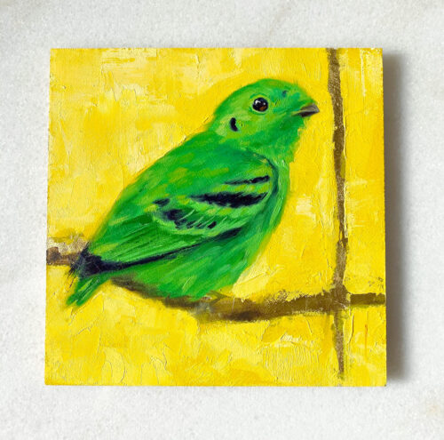 bird art painting green broadbill