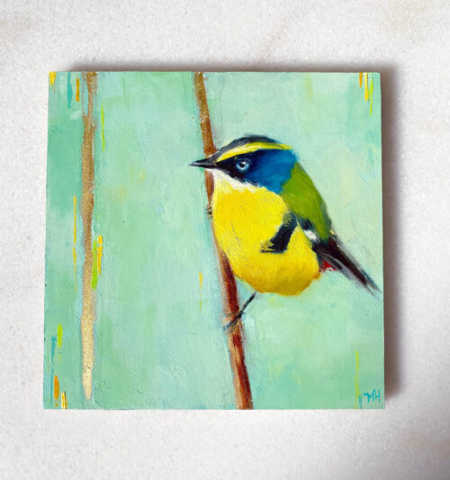 Bird art oil painting Many colored rush tyrant