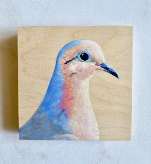Mourning Dove Oil Painting