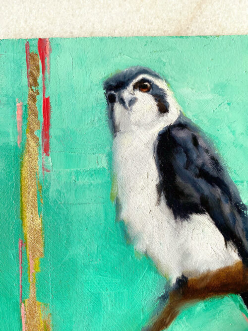 Bird art oil painting Pied Falconette close