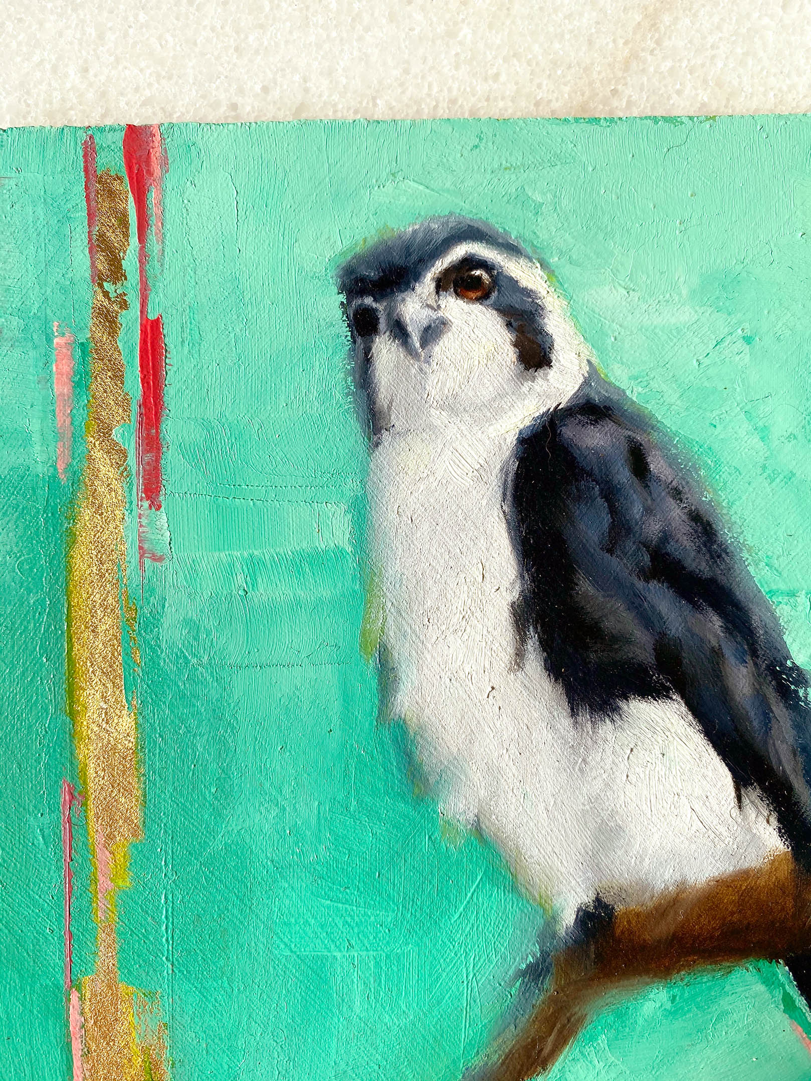 Bird art oil painting Pied Falconette close