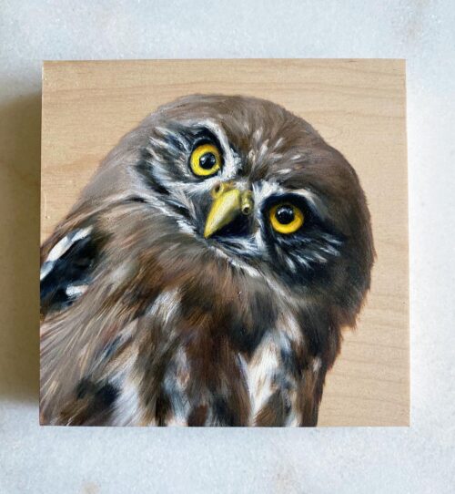 Pygmy Owl Oil Painting