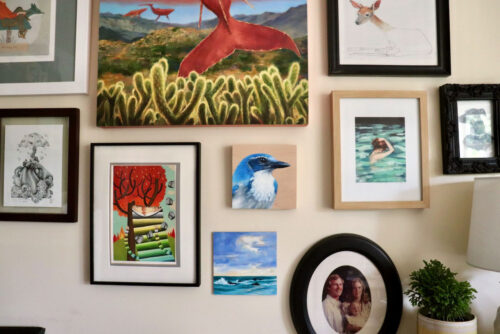 oil painting of scrub jay bird hanging on wall