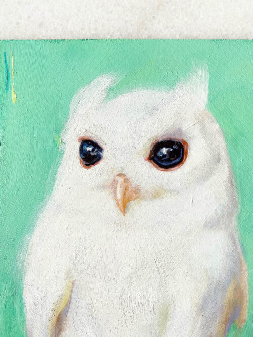 Bird art oil painting white screech owl close up
