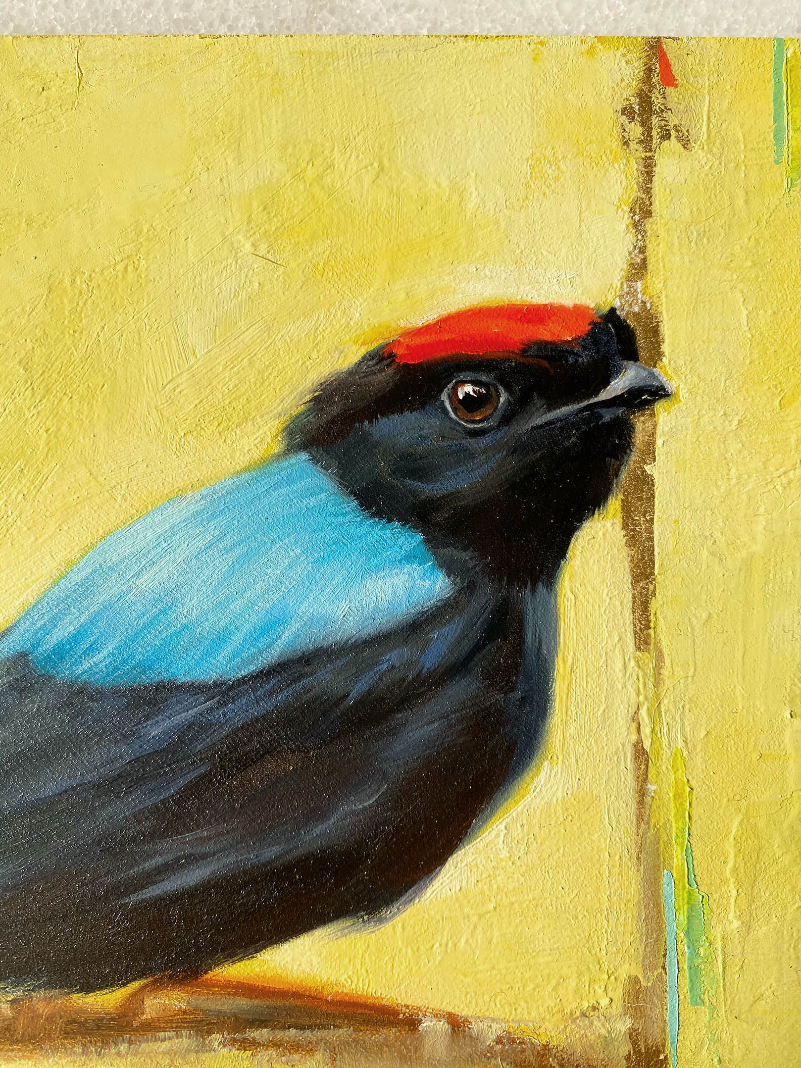 close up Bird art painting blue backed manakin