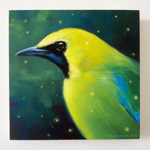 Blue winged leafbird bird art