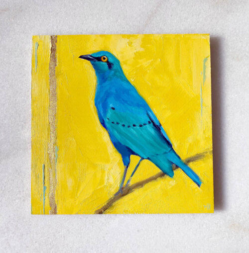 Bird art painting greater blue starling