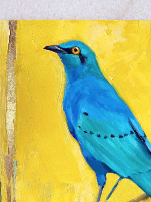 close up bird art painting greater blue eared starling