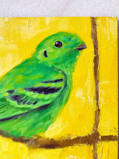 bird art painting green broadbill close up