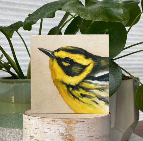 Bird art print of a townsend warbler by Maggie Hurley.