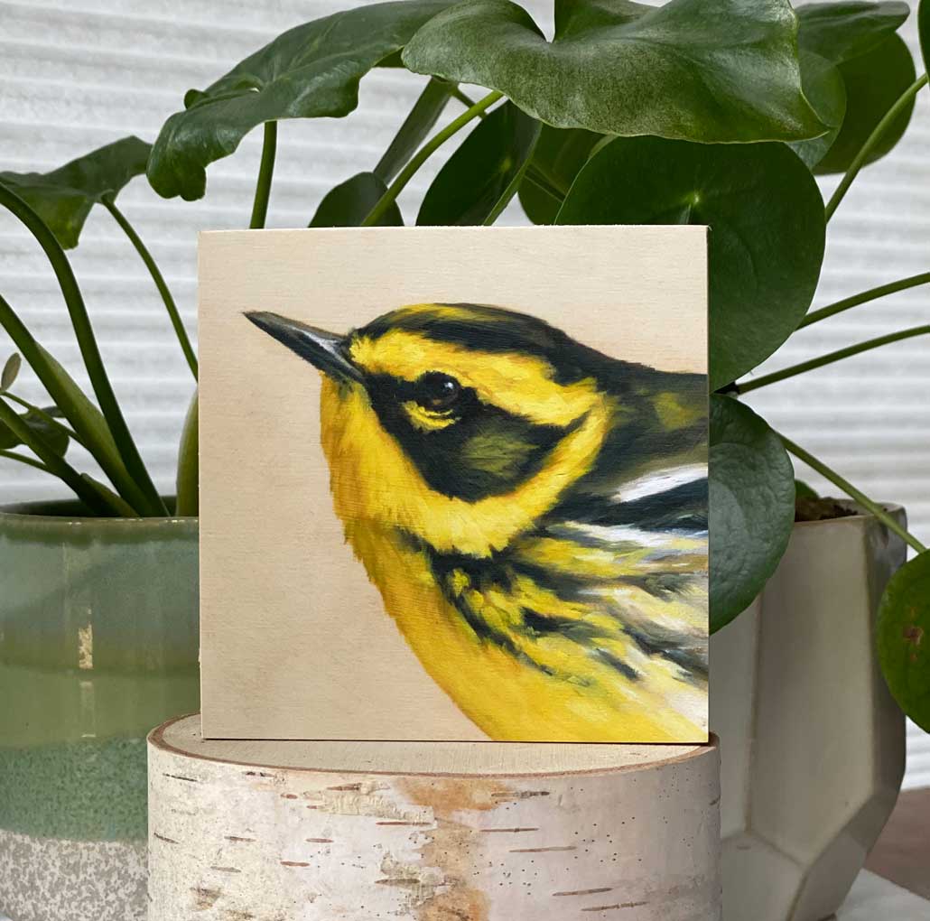 Bird art print of a townsend warbler by Maggie Hurley.