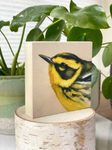 Bird art print of a townsend warbler by Maggie Hurley. Profile view