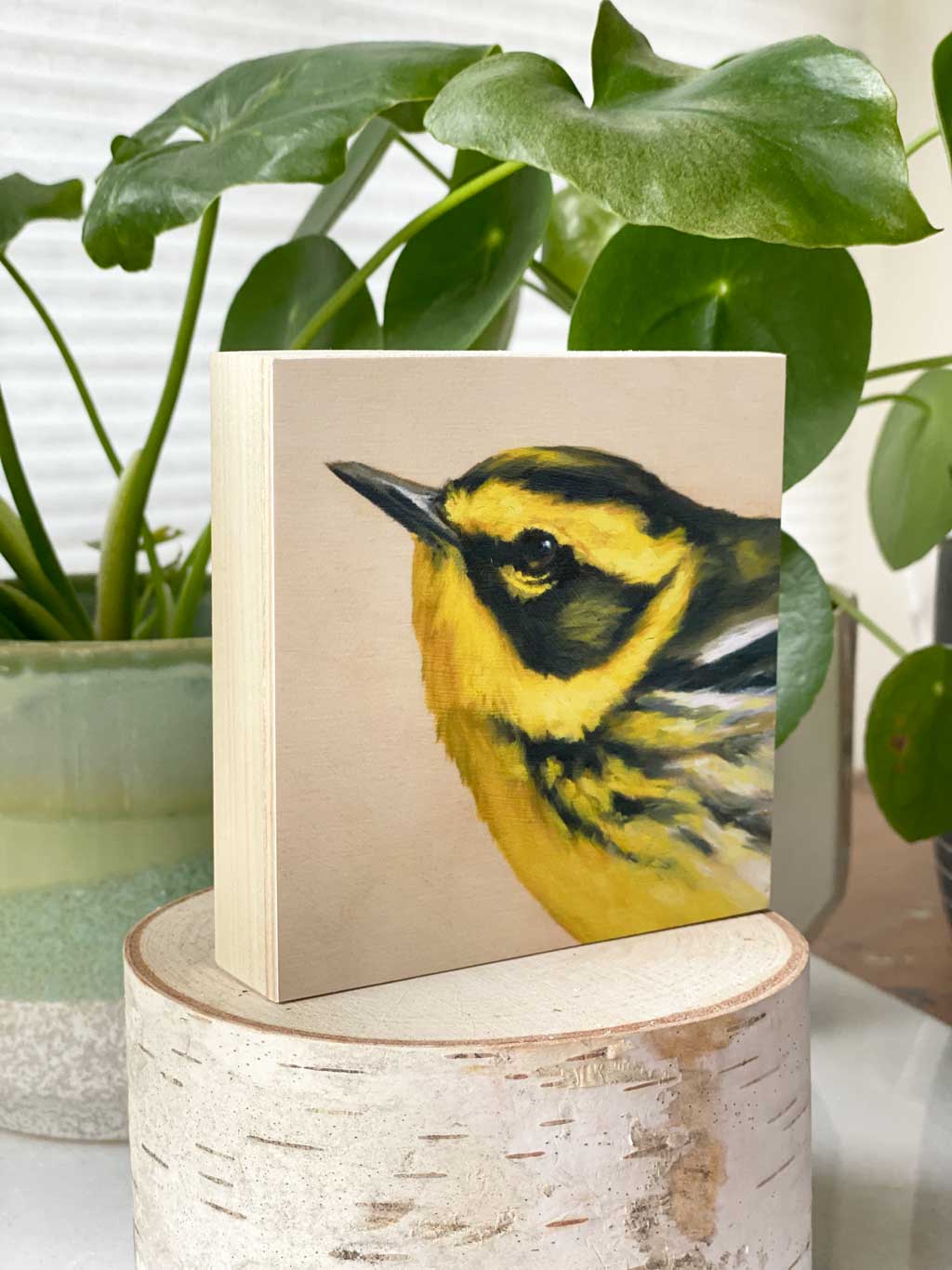 Bird art print of a townsend warbler by Maggie Hurley. Profile view
