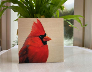 Northern Cardinal