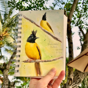 bird art painting of a black crested bulbul