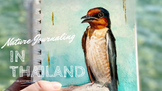 bird art watercolor painting