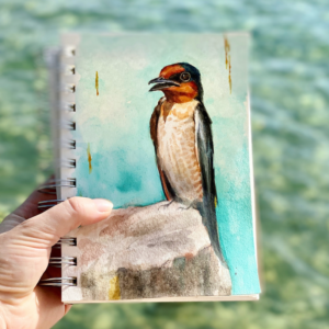 Barn swallow bird art