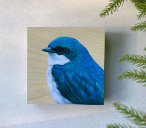 front view of tree swallow bird art